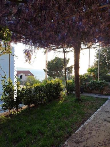 Apartmani AGAVA – foto 27