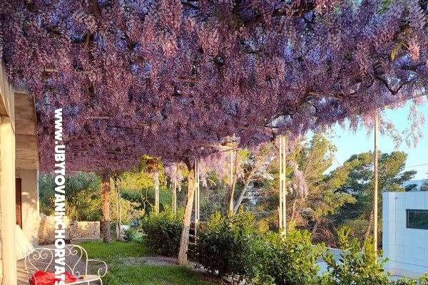 Apartmani AGAVA – foto 28