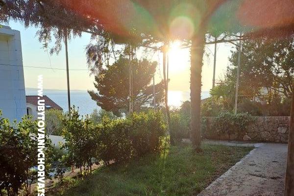 Apartmani AGAVA – foto 8