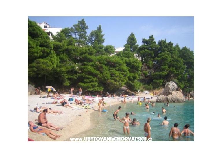 Apartmani Vila ALEN – foto 12