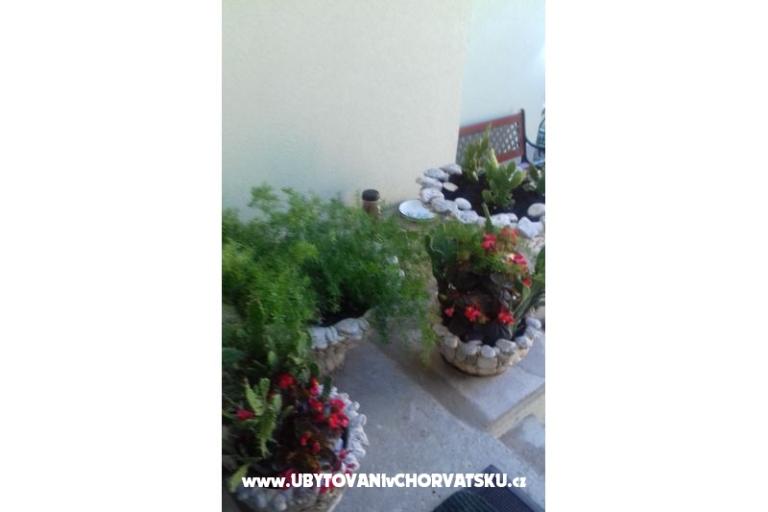 Apartmani Draga – foto 10