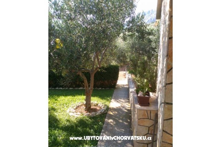Apartmani Draga – foto 7