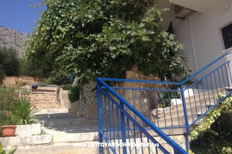 Apartmani Dragana – foto 14