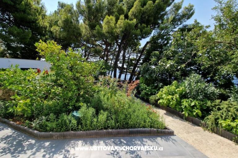 Apartmani Hajdi – foto 24