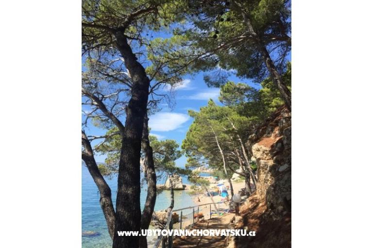 Apartmani Iko – foto 16