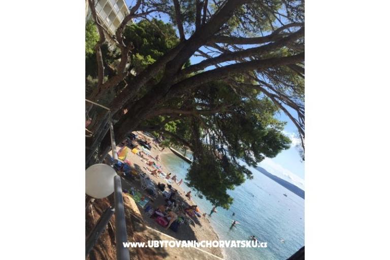 Apartmani Iko – foto 18