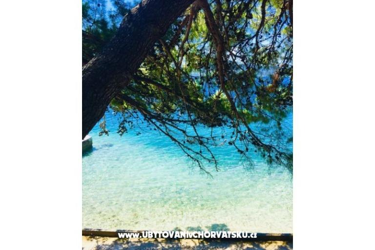 Apartmani Iko – foto 8