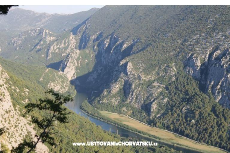Apartmani Bašić – foto 18