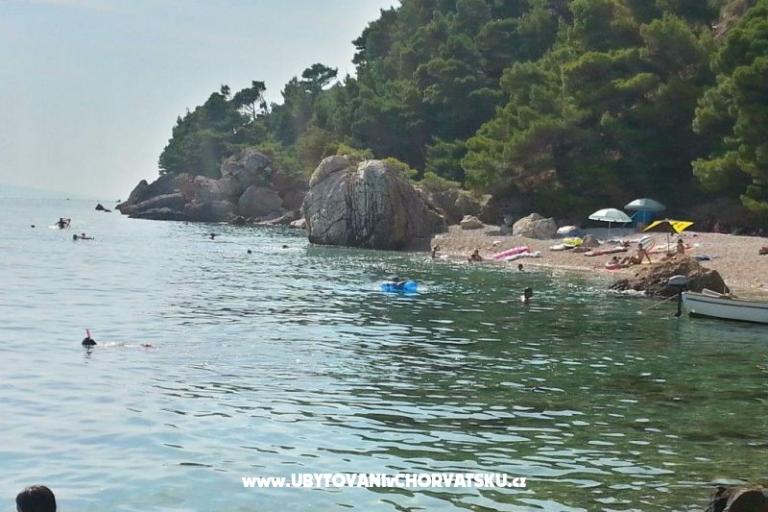 Apartmani Juričić Pisak – foto 17