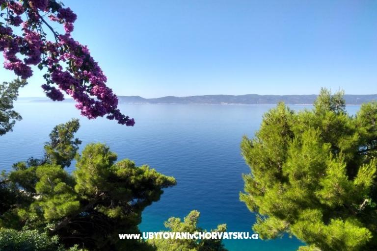 Apartmani Katica – foto 12