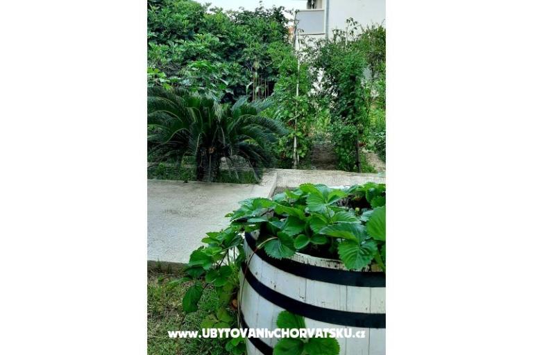Apartmani Martić – foto 7