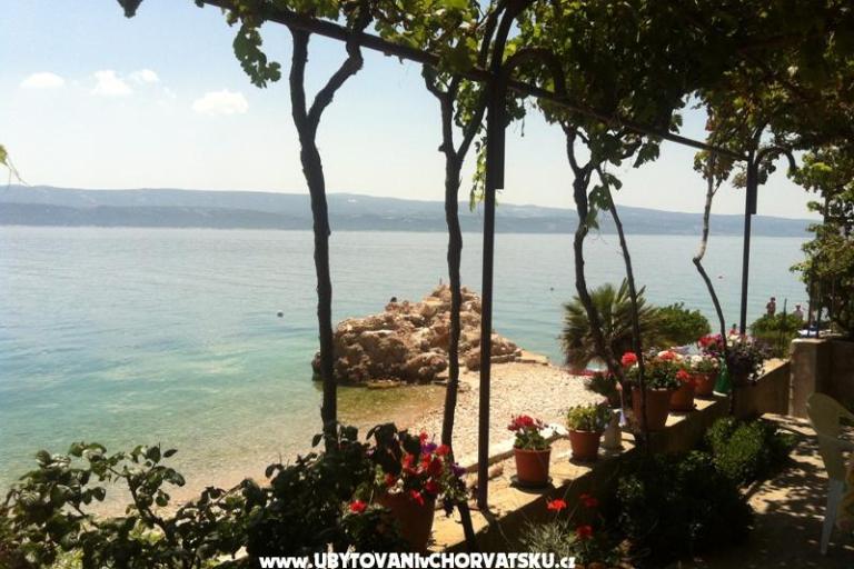 Apartmani Miladin Mimica – foto 6