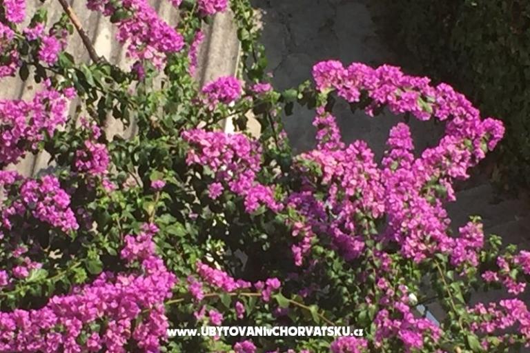 Apartmani Nejašmić – foto 17