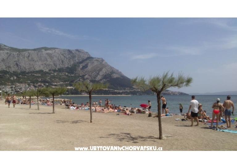 Apartmani Rođo – foto 18