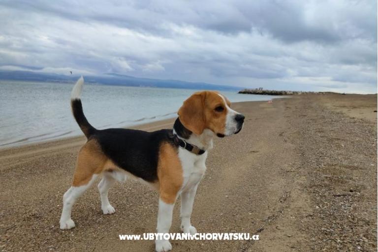 Apartmani Tomasović Omiš – foto 17