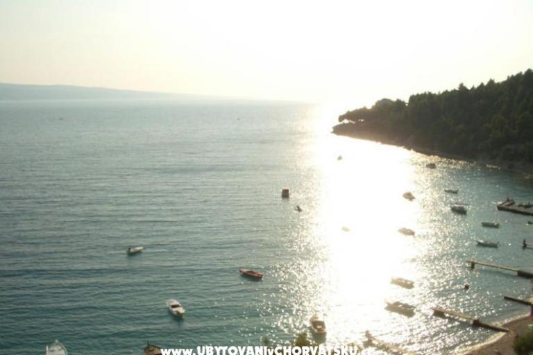 Apartmani Velika Luka – foto 8