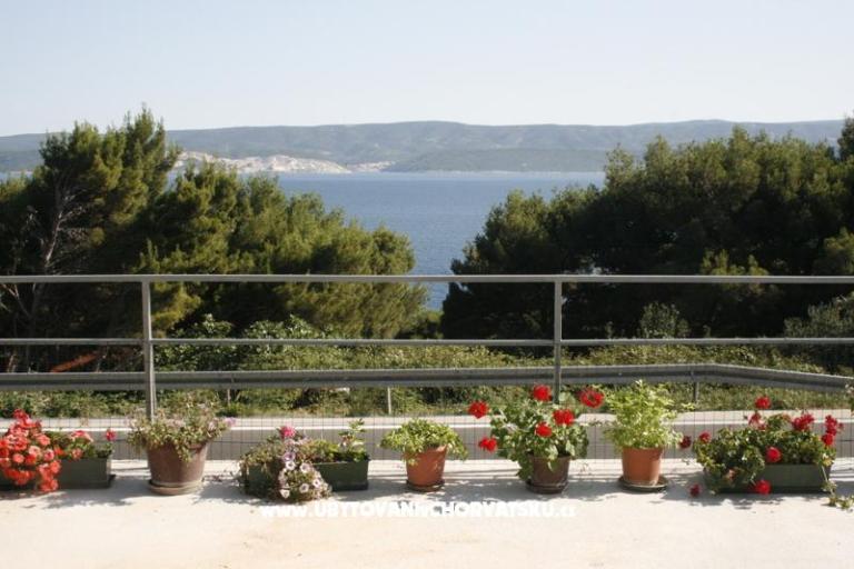 Apartmani Višnja – foto 2