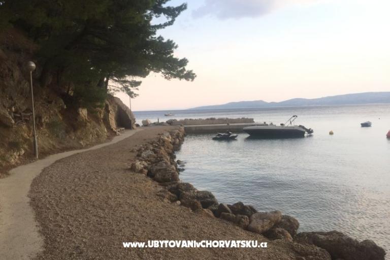 Apartmani Visnjica – foto 11
