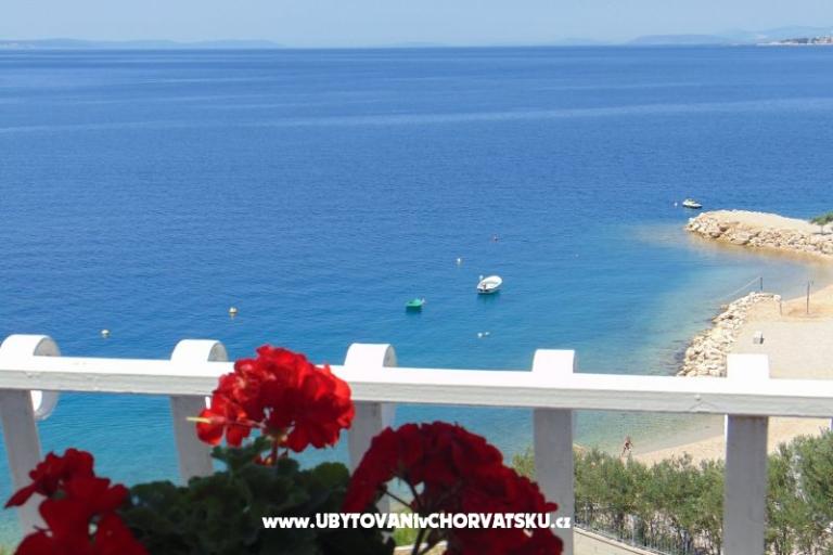 Apartman Zivkovic – foto 10