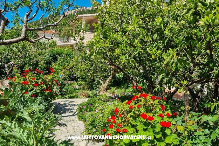 Apartmani Diridonda – foto 43