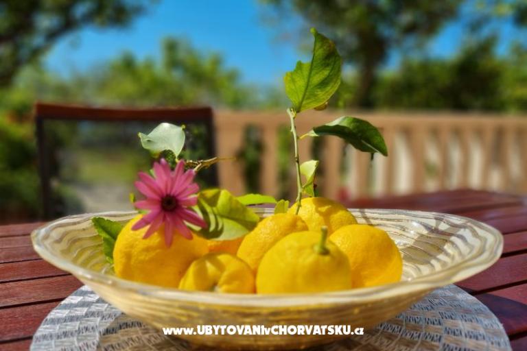 Apartmani Diridonda – foto 46