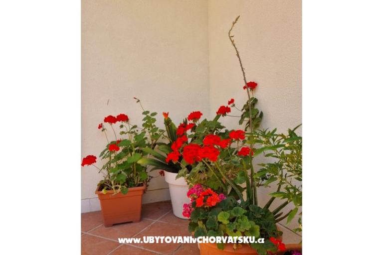 Apartmani Diridonda – foto 48