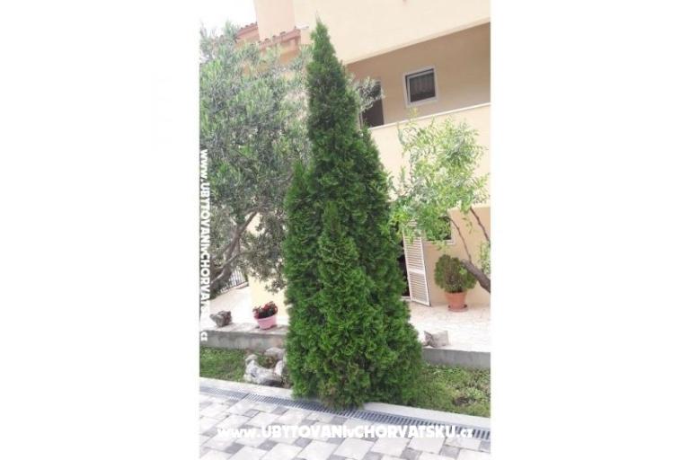 Apartmani Toma – foto 18