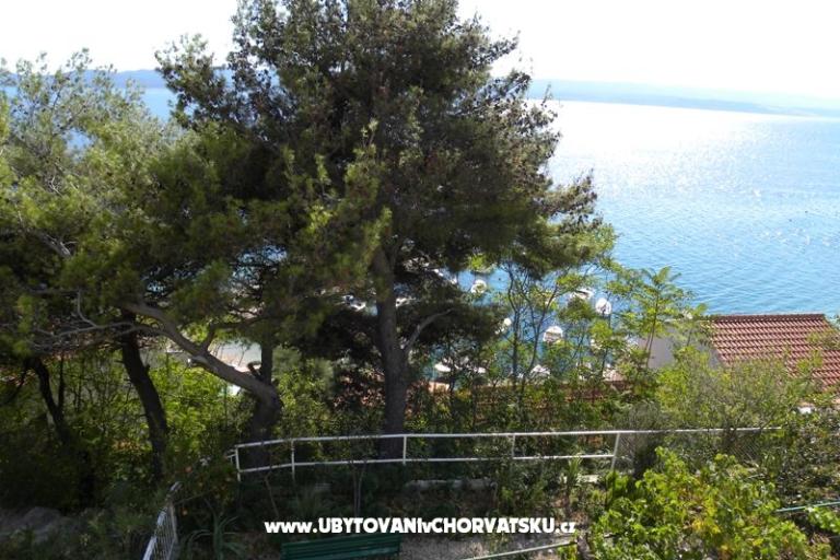 Boženka Kuća – foto 4