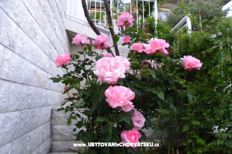 Boženka Kuća – foto 6