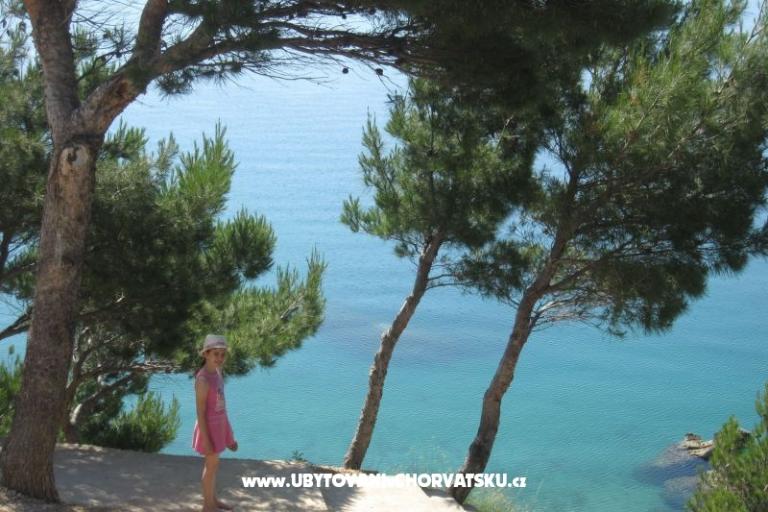 Kuća Kuzmanić – foto 11