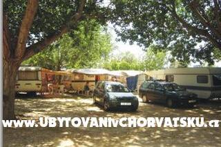 Kamp  MORE – foto 3