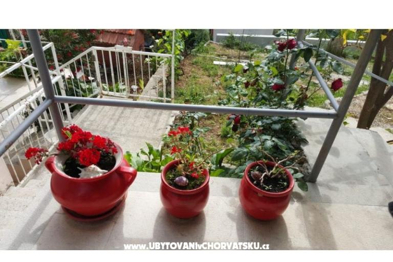 Apartman Mačak – foto 15