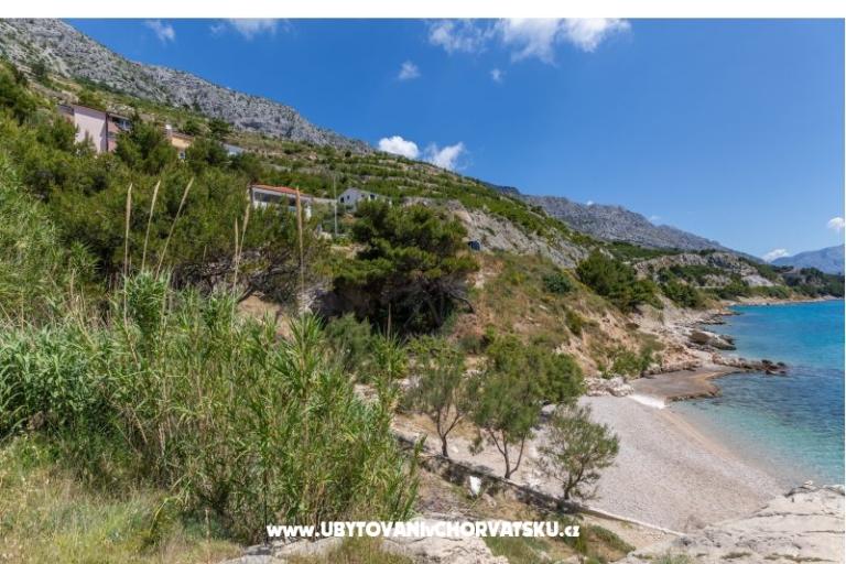 Apartmani Perkusic – foto 15