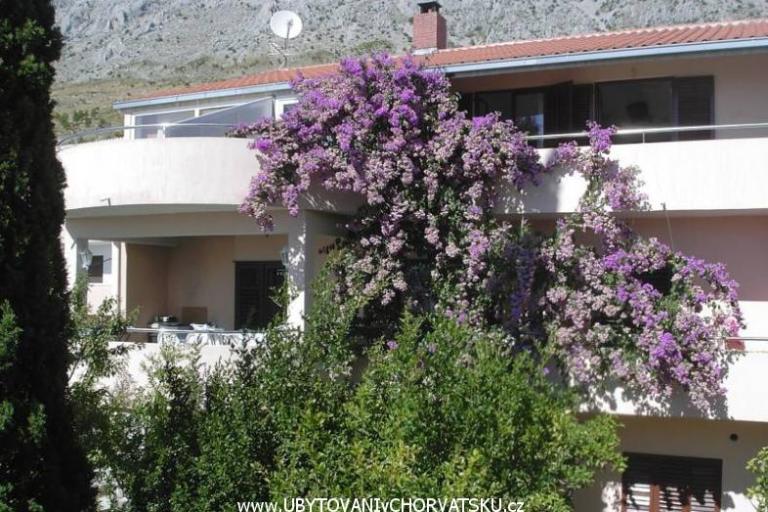 Villa Marko – foto 3
