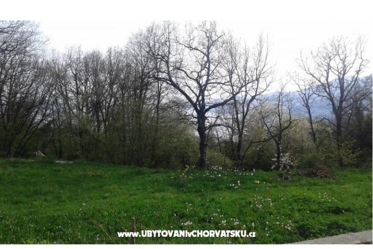 Apartman AS ROYAL – foto 4