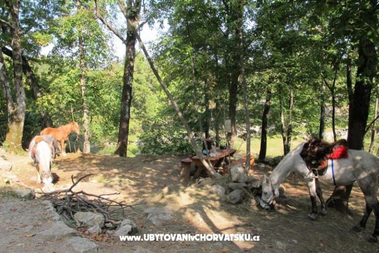 Apartman Filipović Kastav – foto 18