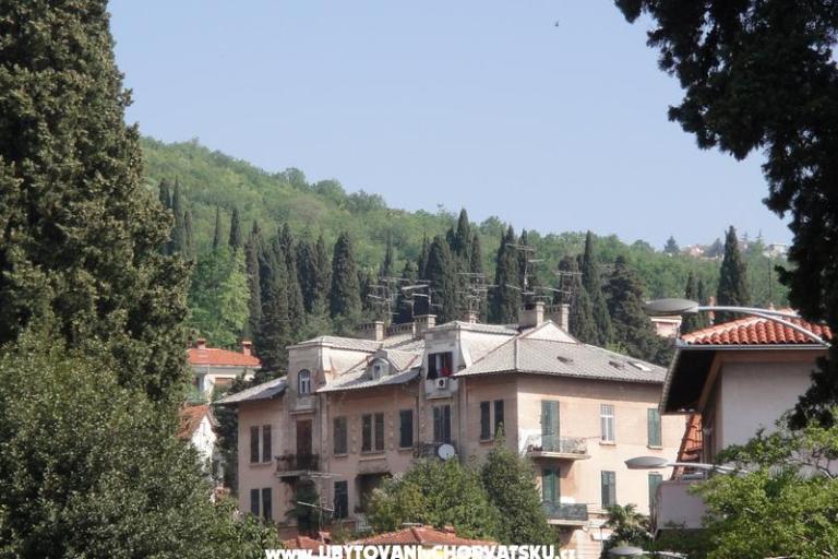 Apartman Kamelija – foto 15