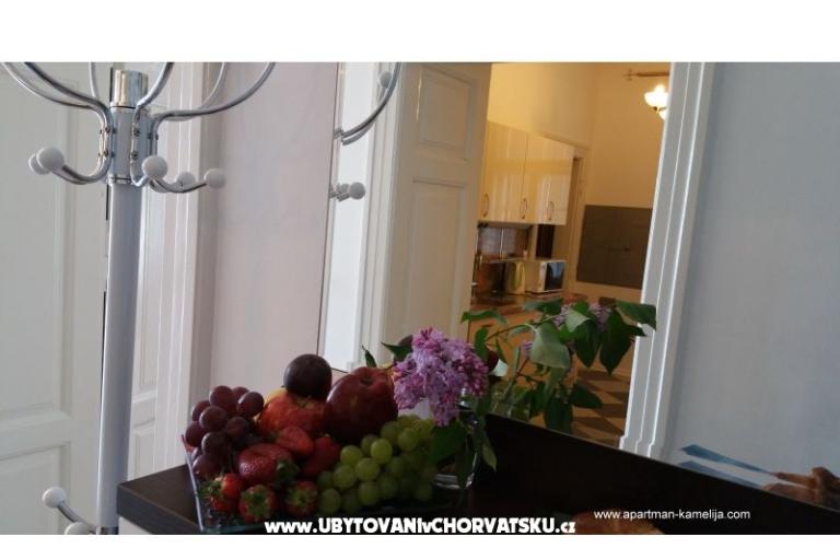 Apartman Kamelija – foto 9