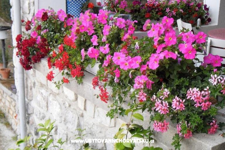 Apartmani Kestenovi dvori – foto 15