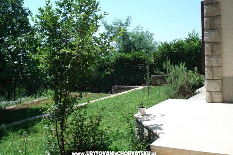 Apartmani Mare – foto 6