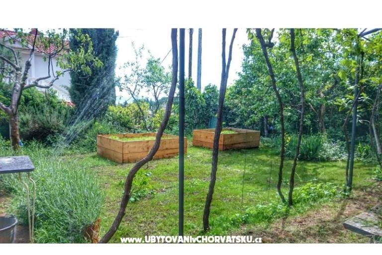 Garden of Pleasure – foto 10