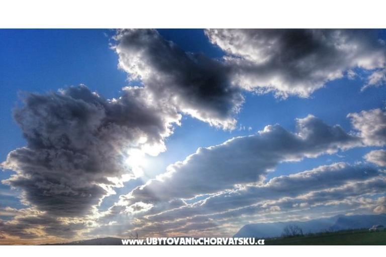 Garden of Pleasure – foto 6