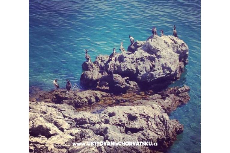 Garden of Pleasure – foto 8