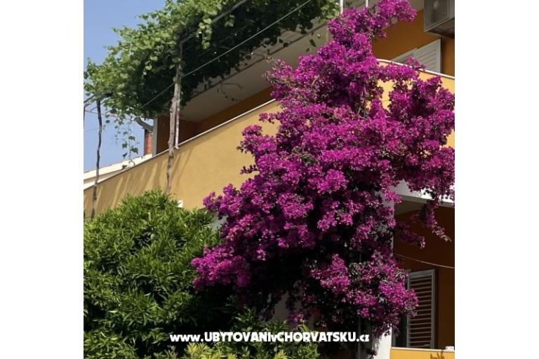 Apartmani  Ante – foto 10