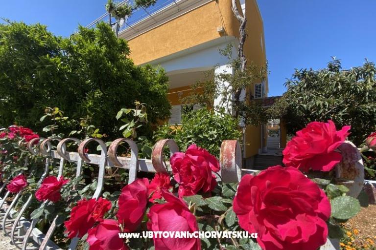 Apartmani  Ante – foto 12