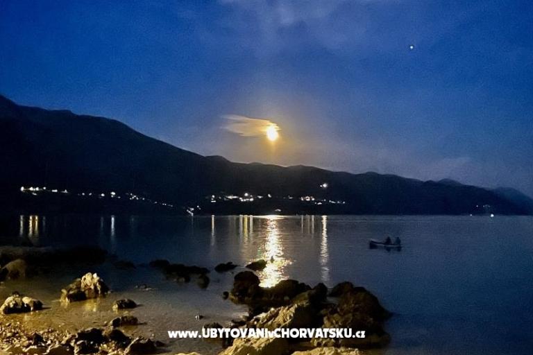 Apartmani  Ante – foto 20