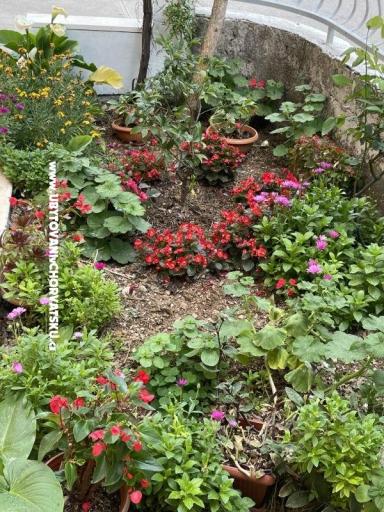 Apartmani  Ante – foto 26