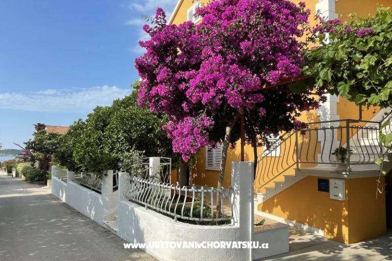 Apartmani  Ante – foto 8