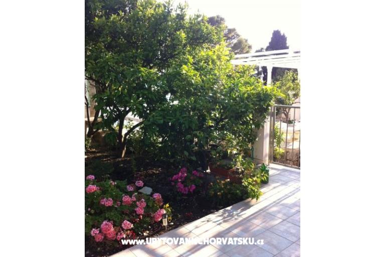 Apartmani surf in Viganj – foto 15