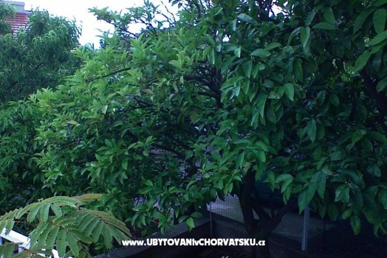 Apartmani Zorka – foto 13